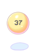 37번 공