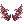 20707