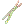 DEX Biscuit Stick