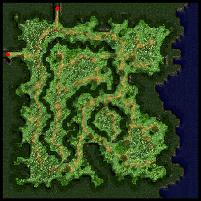 Maps - Payon Forest